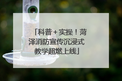 科普＋实操！菏泽消防宣传沉浸式教学超燃上线