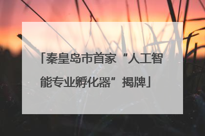 秦皇岛市首家“人工智能专业孵化器”揭牌