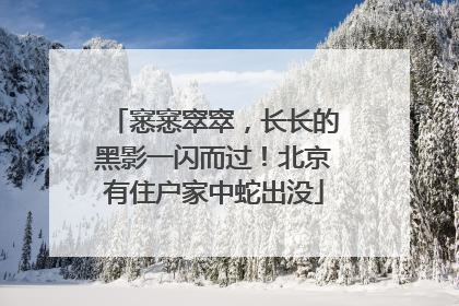 窸窸窣窣，长长的黑影一闪而过！北京有住户家中蛇出没