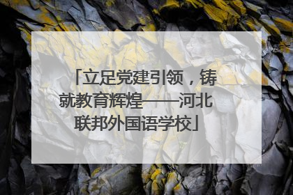 立足党建引领，铸就教育辉煌——河北联邦外国语学校