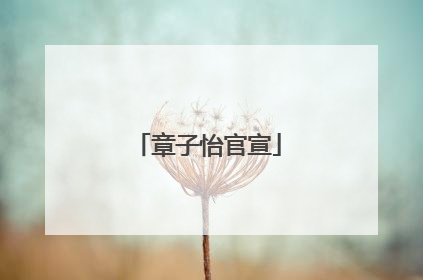 章子怡官宣