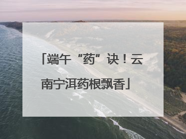 端午“药”诀！云南宁洱药根飘香