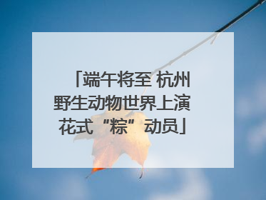 端午将至 杭州野生动物世界上演花式“粽”动员