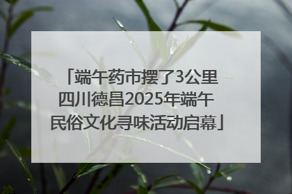 端午药市摆了3公里 四川德昌2025年端午民俗文化寻味活动启幕