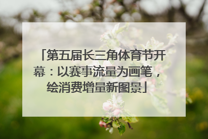 第五届长三角体育节开幕：以赛事流量为画笔，绘消费增量新图景