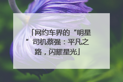 网约车界的“明星”司机蔡强：平凡之路，闪耀星光