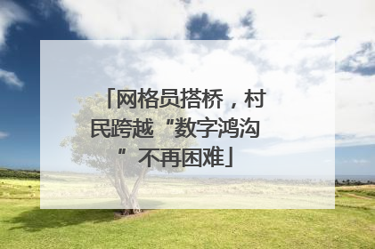 网格员搭桥，村民跨越“数字鸿沟”不再困难