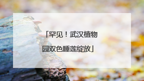 罕见！武汉植物园双色睡莲绽放