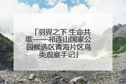 羽翼之下 生命共歌——祁连山国家公园候选区青海片区鸟类观察手记