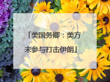 美国务卿：美方未参与打击伊朗
