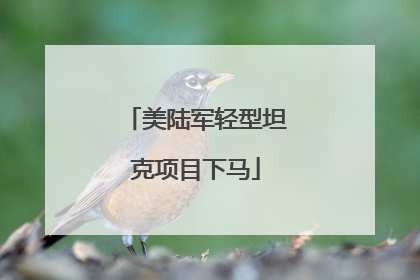 美陆军轻型坦克项目下马