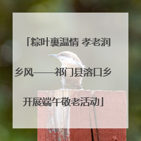 粽叶裹温情 孝老润乡风——祁门县溶口乡开展端午敬老活动