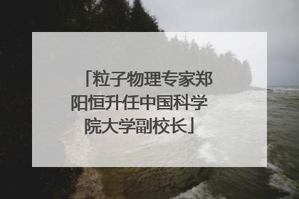 粒子物理专家郑阳恒升任中国科学院大学副校长