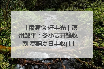 粮满仓·好丰光｜滨州邹平：冬小麦开镰收割 奏响夏日丰收曲