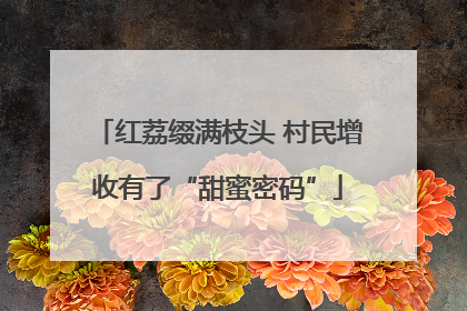 红荔缀满枝头 村民增收有了“甜蜜密码”