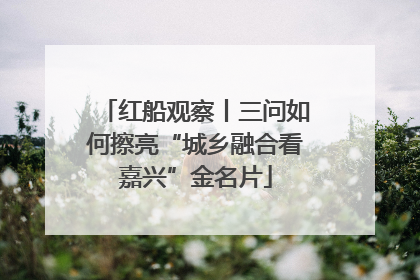 红船观察丨三问如何擦亮“城乡融合看嘉兴”金名片