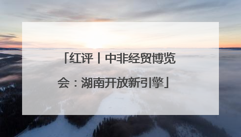 红评丨中非经贸博览会：湖南开放新引擎