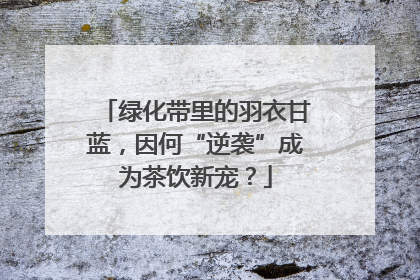 绿化带里的羽衣甘蓝，因何“逆袭”成为茶饮新宠？