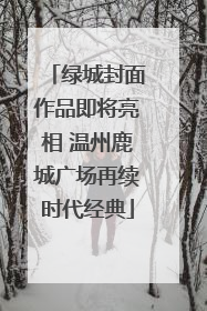绿城封面作品即将亮相 温州鹿城广场再续时代经典