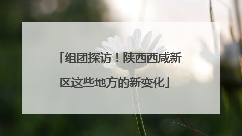 组团探访！陕西西咸新区这些地方的新变化