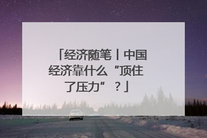 经济随笔丨中国经济靠什么“顶住了压力”？