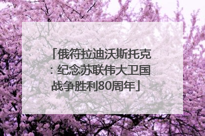 俄符拉迪沃斯托克：纪念苏联伟大卫国战争胜利80周年