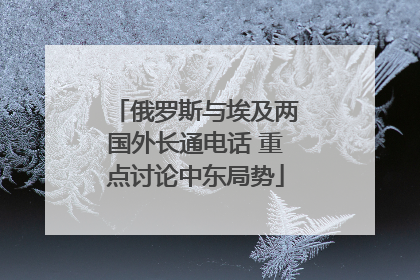 俄罗斯与埃及两国外长通电话 重点讨论中东局势