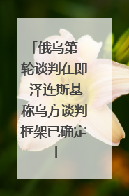 俄乌第二轮谈判在即 泽连斯基称乌方谈判框架已确定