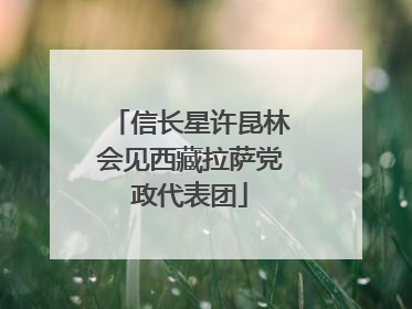 信长星许昆林会见西藏拉萨党政代表团