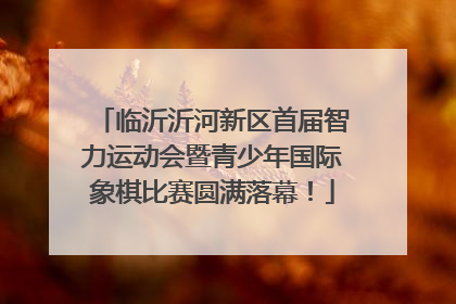 临沂沂河新区首届智力运动会暨青少年国际象棋比赛圆满落幕！