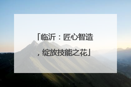 临沂：匠心智造，绽放技能之花