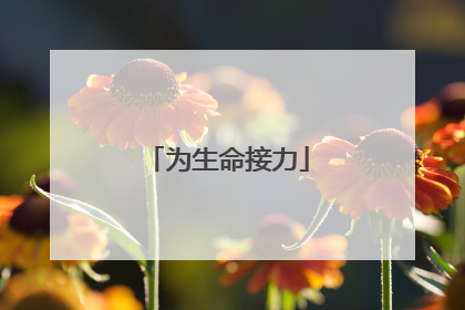 为生命接力