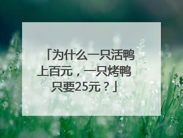 为什么一只活鸭上百元，一只烤鸭只要25元？