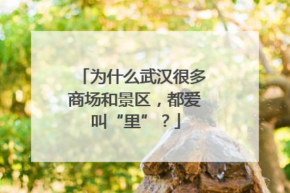 为什么武汉很多商场和景区，都爱叫“里”？