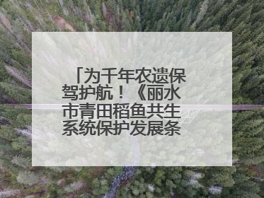 为千年农遗保驾护航！《丽水市青田稻鱼共生系统保护发展条例》正式施行