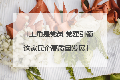 主角是党员 党建引领这家民企高质量发展