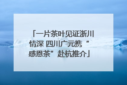 一片茶叶见证浙川情深 四川广元携“感恩茶”赴杭推介