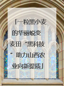 一粒黑小麦的华丽蜕变 麦田“黑科技”助力山西农业向新提质