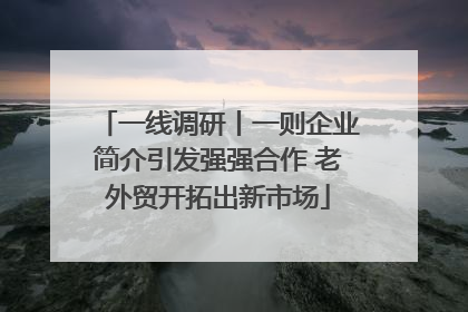 一线调研丨一则企业简介引发强强合作 老外贸开拓出新市场