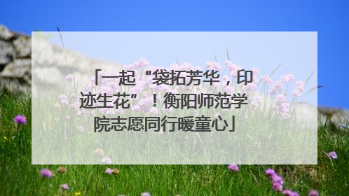 一起“袋拓芳华，印迹生花”！衡阳师范学院志愿同行暖童心