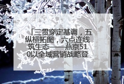 三贯穿定基调，五纵横拓图，六点连线筑生态——燕京510以全域营销战略登顶行业IP新高度