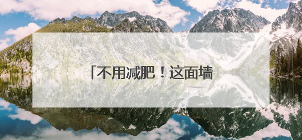 不用减肥！这面墙上有好“多肉”
