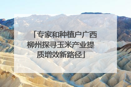 专家和种植户广西柳州探寻玉米产业提质增效新路径