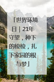 世界环境日｜21年守望，种下的梭梭，扎下家园的根与梦
