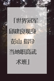 世界冠军邱建良现身彭山 指导当地职高武术班