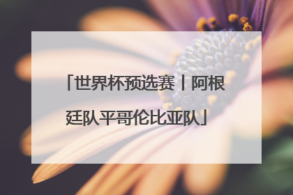 世界杯预选赛丨阿根廷队平哥伦比亚队
