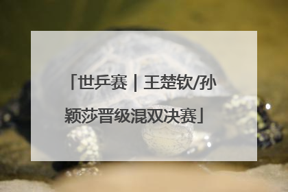 世乒赛｜王楚钦/孙颖莎晋级混双决赛