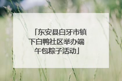 东安县白牙市镇下白鸭社区举办端午包粽子活动