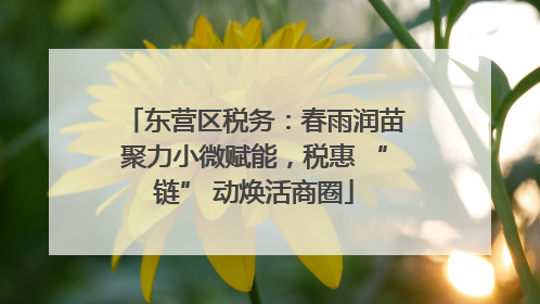 东营区税务：春雨润苗聚力小微赋能，税惠 “链” 动焕活商圈