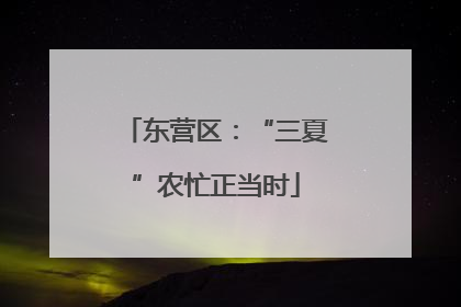 东营区：“三夏”农忙正当时